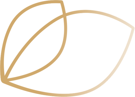 Stilisierte Darstellung eines Blattes, symbolisch für Pflanzenextrakte im AminoScience® Komplex.